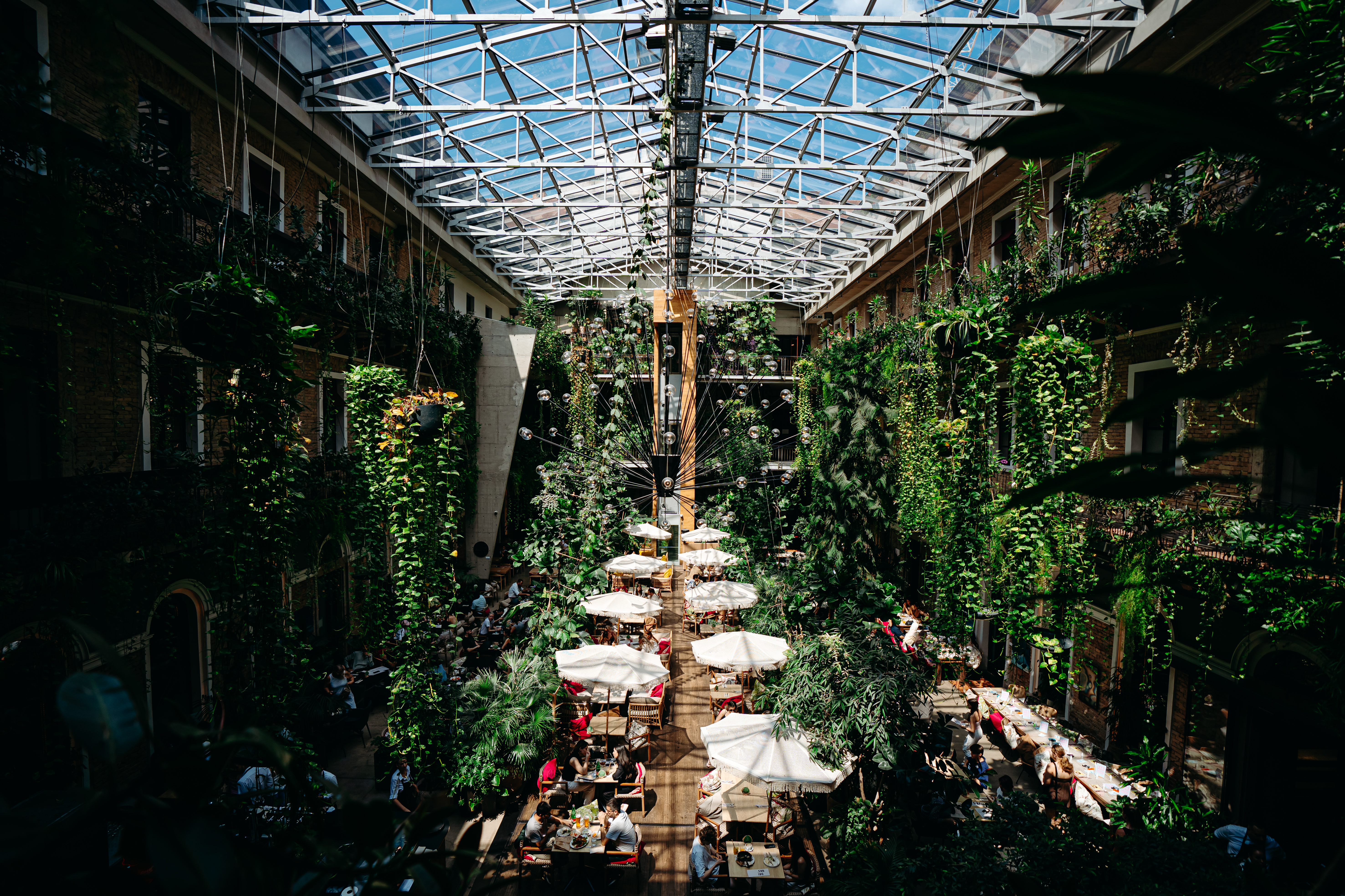 Photo of this venue